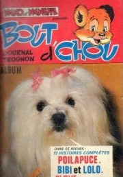 Nano et Nanette présentent Bout d'chou journal trognon (Recueil) - Bout d'chou, Recueil n°2