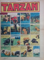 Tarzan (Journal) - Tarzan n°22