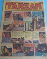 Tarzan (Journal) - Tarzan n°31
