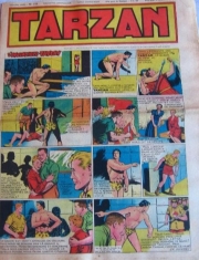 Tarzan (Journal) - Tarzan n°110