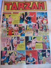 Tarzan (Journal) - tarzan n°115