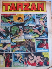 Tarzan (Journal) - Tarzan n°161