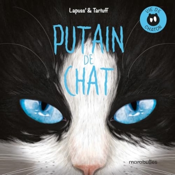 Putain de Chat - Vie de chaton