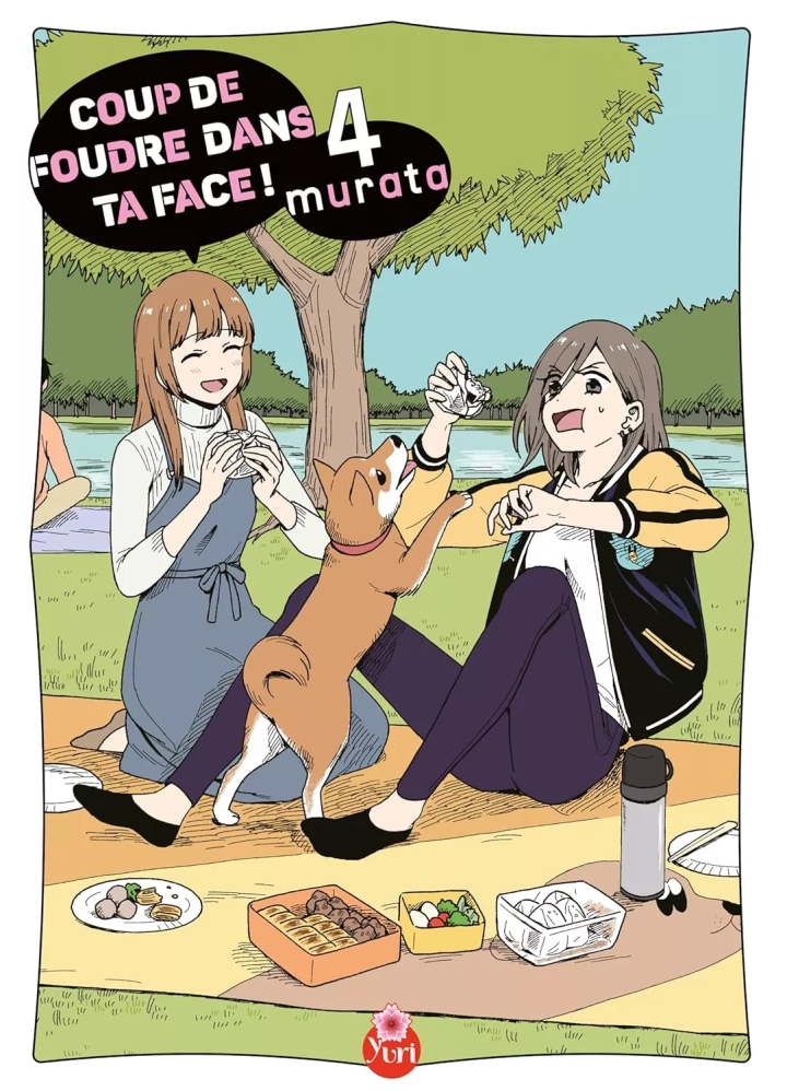 Coup de foudre dans ta face ! - tome 4 - Coup de foudre dans ta face !, Tome 4