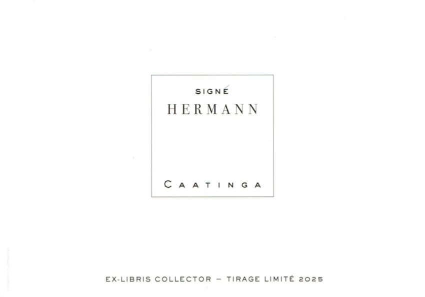 Caatinga — Galerie