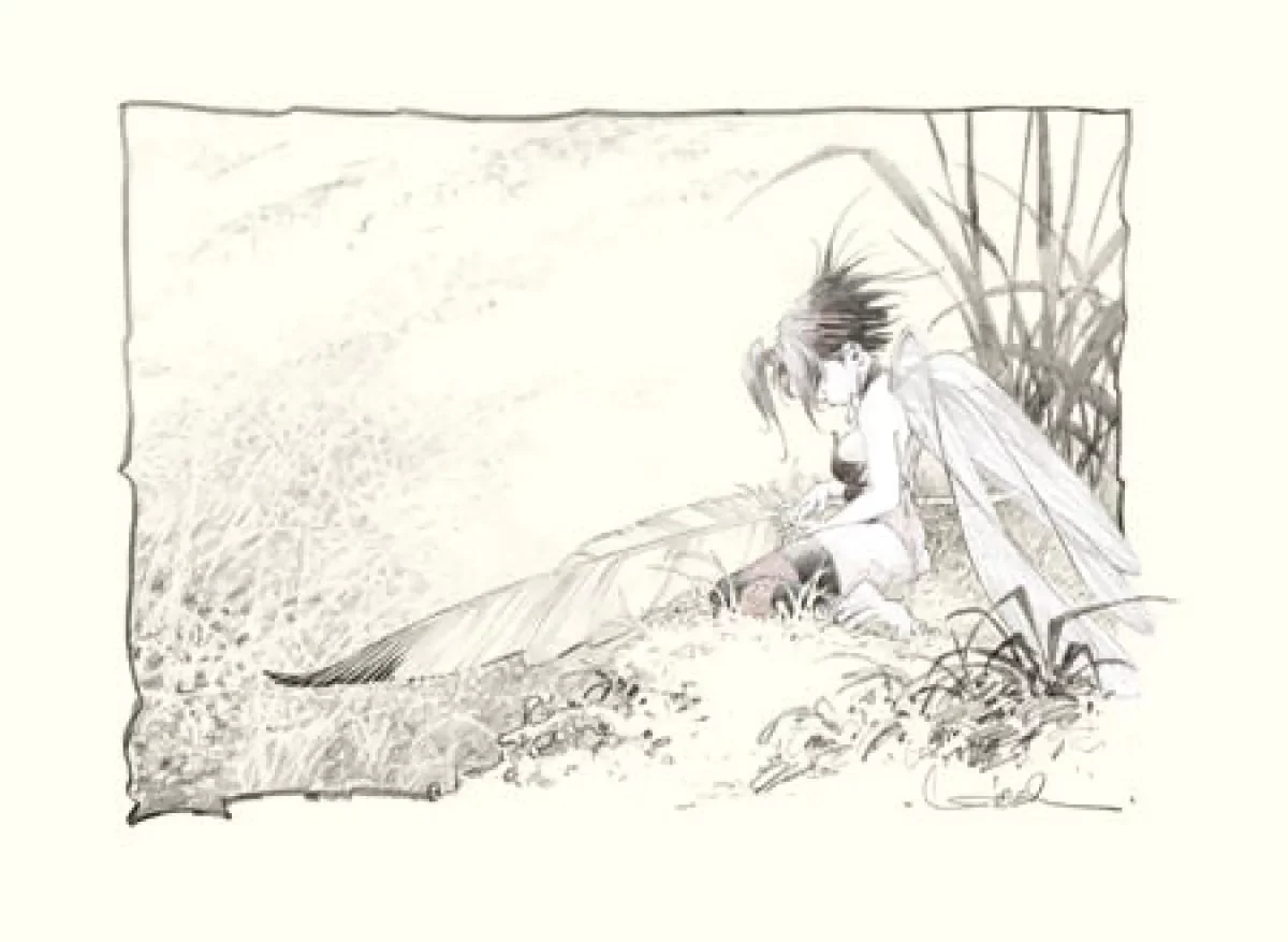 Peter Pan - Pochette Clochette — Galerie